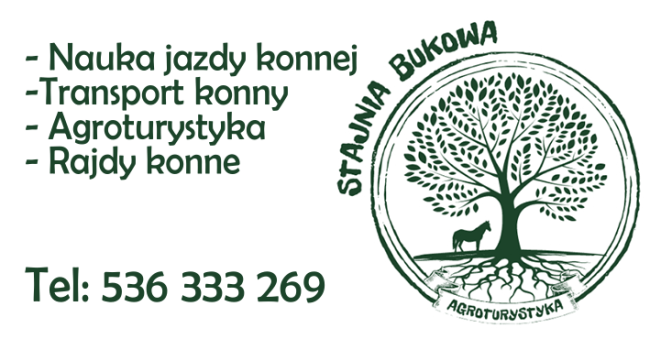 STAJNIA BUKOWA-1